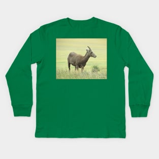 Big Horn Sheep-6 Kids Long Sleeve T-Shirt